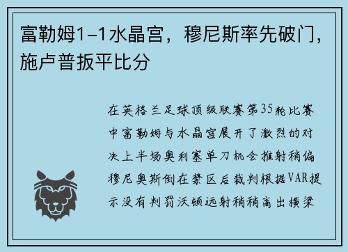 富勒姆1-1水晶宫，穆尼斯率先破门，施卢普扳平比分